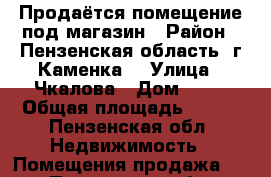 Продаётся помещение под магазин › Район ­ Пензенская область, г Каменка  › Улица ­ Чкалова › Дом ­ 27 › Общая площадь ­ 324 - Пензенская обл. Недвижимость » Помещения продажа   . Пензенская обл.